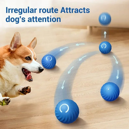 BarkoBounce: USB Rechargeable Unpredictable Automatic Moving Dog Toy Ball
