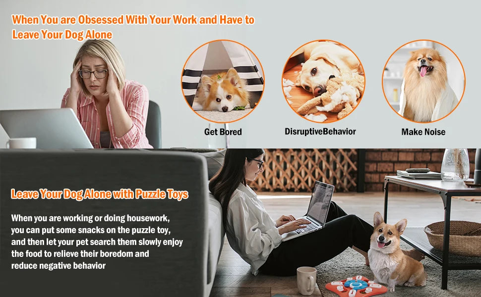 Pawzzle: Pet Puzzle Toy for IQ Training & Mental Enrichment